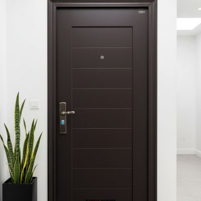 China Exterior Security Doors (CS 003)